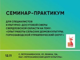 Cеминар-практикум для специалистов культурно-досуговой сферы Свердловской области