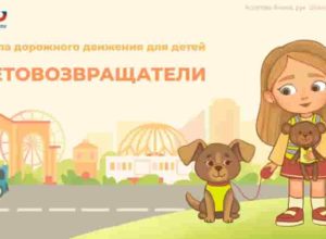 Световозвращатели. Простое правило безопасности!